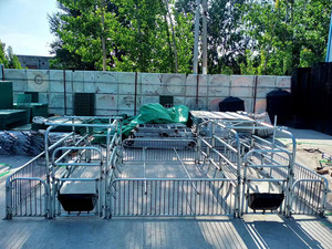 Jaula de Parto Galvanizada para Cerdos, Equipo de Cría con Alimentación y Bebedero Automáticos - Product Image 3