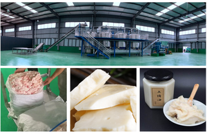 Китайский поставщик, оборудование для плавки масла, оборудование для переработки куриного жира, завод по переработке говяжьего жира, линия по производству говяжьего жира - Product Image 4