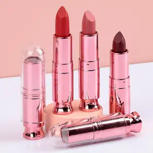 Lip Rouge Nude Lipstick With Transparent Cover Makeup Lipstick Custom Logo Private Label Pink Makeup Lipstick