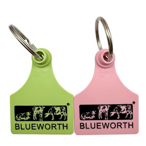 BLUEWORTH Targhette per Cani e <span class=keywords><strong>Gatti</strong></span> Personalizzabili con Nome/Numero/Codice, Impermeabili, Design Semplice, Durevoli in Poliestere, Disponibili in Diversi Colori, Stampate a Macchina - Product Image 4