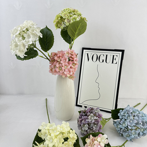 هيدرانجيا صغيرة بفرع واحد لتنسيقات الزهور وديكورات حفلات الزفاف وأعياد الميلاد مع ورود أنيقة - Product Image 4