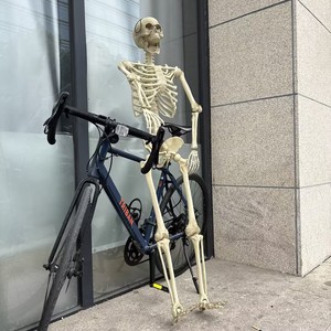 Nuevo Esqueleto Humano Gigante Realista de 152 cm (60 Pulgadas/10 pies) para Decoración de Jardín, Ideal para Accesorios de Halloween al Aire Libre, 2026 - Product Image 6