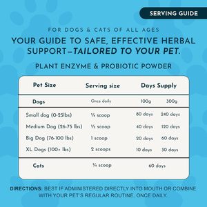 Suplemento Probiótico en Polvo para Mascotas ODM/OEM, Salud Digestiva para Perros y Gatos, Apoya el Equilibrio Intestinal - Product Image 4