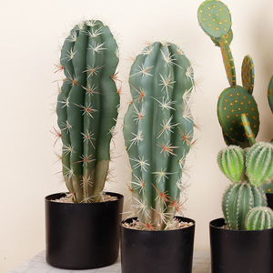 Artificial Cactus Potted Plants 10cm-30cm High Simulation Desert Succulents Indoor Desktop Decorative <b>Ornaments</b> - Product Image 1