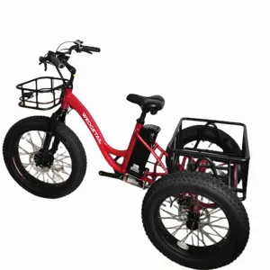 2023 Hot Sale Electric Tricycles 1000W Electric Cargo Bike Fat Tire Electric Tricycle Tri Cycle Cargo Bike