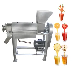 Máquina de prensado de zumo de manzana, extractor de fruta comercial, exprimidor de leche de coco pequeña