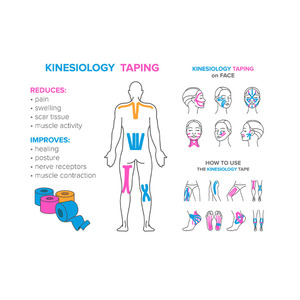 Cinta de Kinesiología Premium, Cinta Atlética para Soporte y Protección de Músculos, Rodillas y Hombros, Impermeable e Hipoalergénica, Cinta Deportiva sin Cortar - Product Image 6