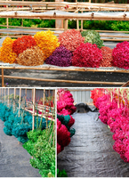 Hydrangeas artificiels éternels, hydrangeas préservés pour les centres de table de mariage et les arrangements floraux DIY
