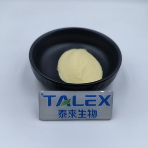 Hot Sale Supplement AKK Akkermansia Muciniphila Probiotic 100 Billion Akkermansia Muciniphila Powder - Product Image 3