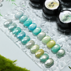 Vernis à ongles gel magnétique effet œil de chat AILANUO, série 10 couleurs menthe, gel UV professionnel pour ongles - Product Image 1