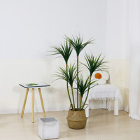Plante artificielle de style nordique à tige fine, type Dragon Blood Green, en plastique+PE, 140-210 cm, longue durée, pour la décoration intérieure de la maison et des hôtels