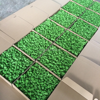 Vente en gros de mousse stabilisée et de lichen Panneau mural de mousse Décoration de fête de bureau intérieur Panneau de plante Vie préservée Carreaux de mousse