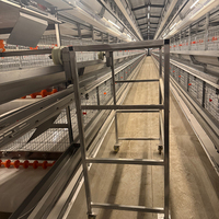 Nouvelle cage à poules pondeuses LinChuan de type H en acier galvanisé à froid, 128 poules, 4 niveaux, 4 portes, garantie Hebei de 7 ans