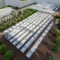 Système hydroponique de serre en croissance hydroponique Nft