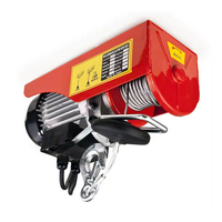 Palan électrique Miniature 220V110V petite grue en acier 1000kg pour toit domestique nouvel état palan électrique à câble métallique