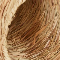 Accessoires pour petits animaux 3 pièces Grass House Tunnel & Straw Carrot