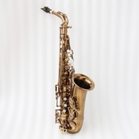 Saxophone alto professionnel Focustyle, corps en laiton, plaqué or café, tonalité EB, modèle FAS-500MKVI