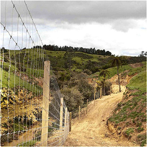 Valla de alambre de hierro para granja, poste de alta calidad al mejor precio - Product Image 5