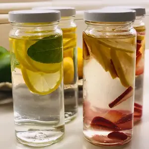 Hitzebeständig 16 Unzen Dose gepresster Saft Glasflasche klares Paragon-Glas mit Kunststoffdeckel für Getränke