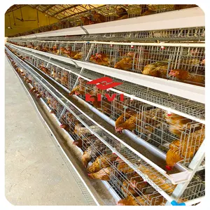 ליווי שכבה כלובי עופות חוות סוללה כלובי תרנגולות אוטומטי 4 tier עוף כלוב שכבה עבור 20000 ציפורים