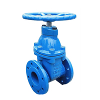 Válvula de Compuerta Manual para Agua PN10 PN16 DIN F4 BS5163 NRS con DN40-DN1200