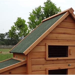 SDC002-D SHUNDA Modern Baskılı Dış Mekan Ahşap Tavuk Kümesi Orta Boy Su Geçirmez Asfalt Çatılı Tavuk Evi - Product Image 5