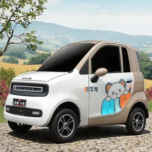 Quadricycle électrique fermé à 2 portes et 2 places, mini voiture électrique EV avec certificat EEC COC - Product Image 2