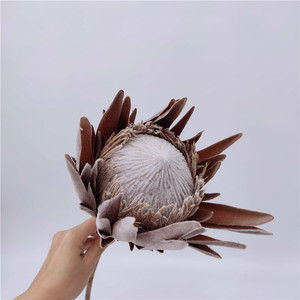 <span class=keywords><strong>Protea</strong></span> Cynaroides ดอกไม้ราชาโพรโทไรด์,อุปกรณ์ตกแต่งงานแต่งงานคริสต์มาส - Product Image 4