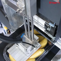 N-mark V420T/V430T Distributeur automatique d'étiquettes autocollantes à codage en ligne avec imprimante