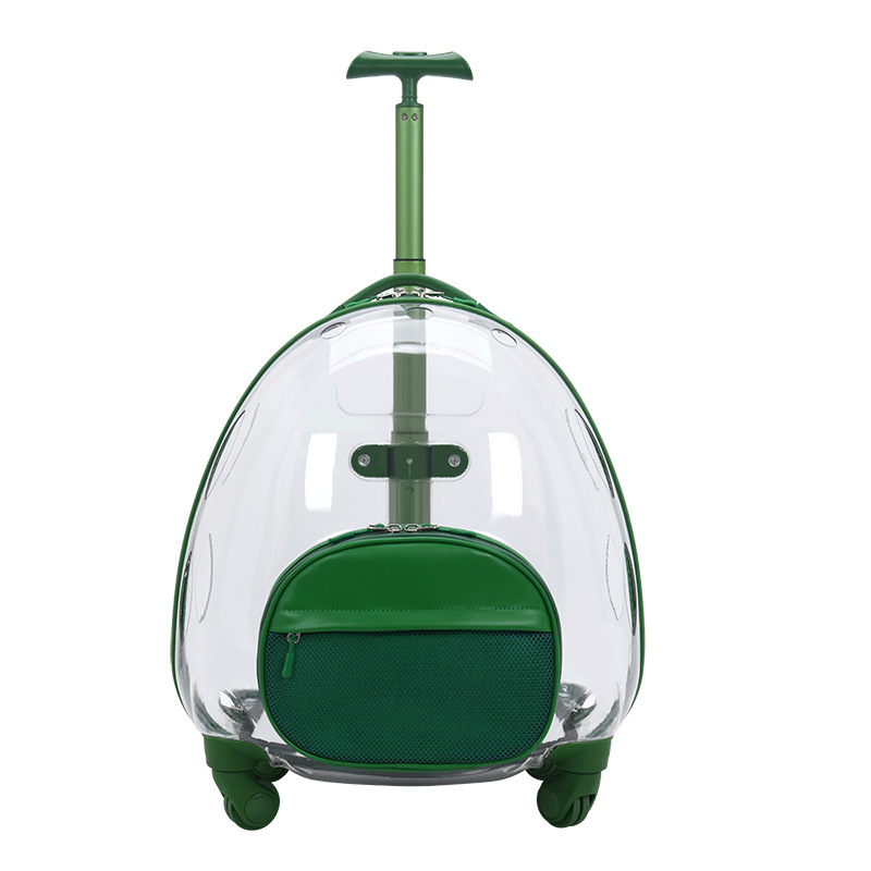 Style 1 vert et transparent