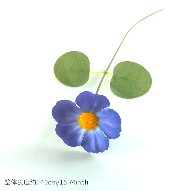 สีฟ้า