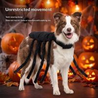 Costume d'araignée d'Halloween pour animaux de compagnie, harnais à pattes en peluche noires pour chats et chiens, déguisement de fête, produit de vacances, usage quotidien