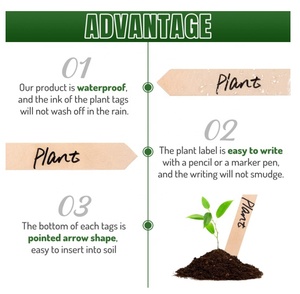 Étiquettes personnalisées en bois pour plantes, 100 pièces, pour herbes, fleurs, légumes, plantes décoratives, plantes en pot, marqueurs <span class=keywords><strong>de</strong></span> jardin - Product Image 6
