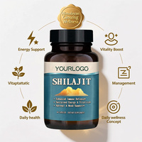 Capsules de Shilajit Pur en Gros, Haute Puissance, Complexe d'Acide Fulvique, Complément Quotidien pour l'Énergie et la Vitalité, Capsules de Shilajit