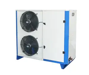 2hp Luchtcompressor Condensatie Unit R404a 220W 1ph 50Hz Doos Condensatie Units Met Luchtkoeler Voor 0 ~-18'c 2.4*2.4*2.1 M Koude Kamer