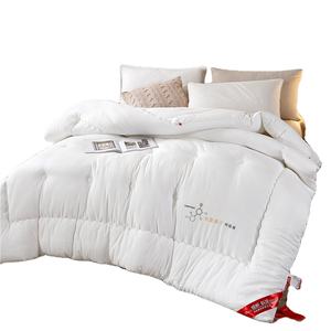 Fourniture directe d'usine textile de maison printemps automne hiver couette avec remplissage ensemble de literie blanc maison hôtel adulte hiver automne