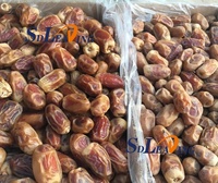 Medjool dadels borstelreinigingsmachine nylon zachte borstel groente fruit wasmachine voor palm verse gedroogde dadels voedselverwerking