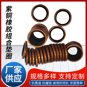 Juntas tóricas combinadas D22.4d18.5 de doble capa, resistentes al aceite y de alta presión para automóviles - Product Image 2