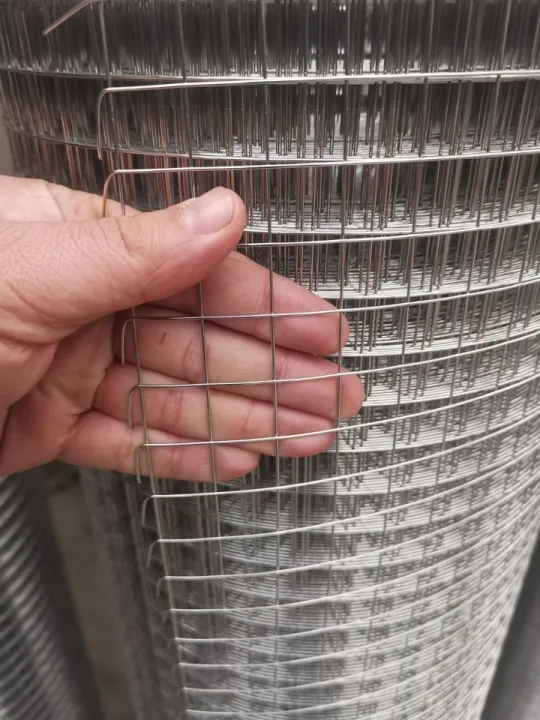 Hot dipped factory price galvanized welded wire mesh fence panel iron mesh roll