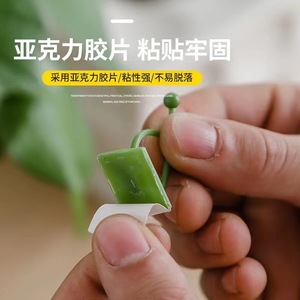 Soporte para plantas de pothos sin marcas para uso doméstico, sin clavos, para colgar en la pared, estéticamente agradable, con almacenamiento, ganchos autoadhesivos para - Product Image 4