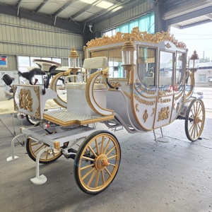 Carruaje de Caballos Eléctrico de Lujo para Transporte Especial, Estilo Moderno para Bodas Reales, Tipo Cenicienta - Product Image 3