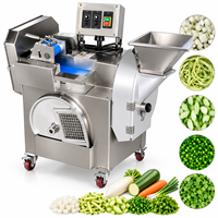 Machine à découper les courges amères et les patates douces, trancheuse électrique de légumes, hachoir de cuisine, machine à couper les chips de plantain