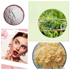 パルメット抽出物粉末粉末粉末脂肪酸のこぎりパルメット抽出物工場供給 - Product Image 6