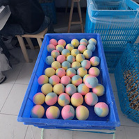 Nouveaux jouets sensoriels en forme de patte de chat en forme de beignet, pour soulager l'anxiété et le stress, cadeau de fête pour enfants et adultes