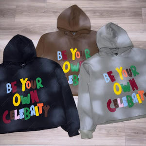 Alta calidad personalizado 3D Puff impreso 100% algodón verano Jumper Hoodie Unisex - Product Image 4