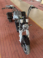 Ville banlieue vélo électrique lumière mode haute vitesse 45 km/h sur COC 3 roues électrique e-bike Tricycle