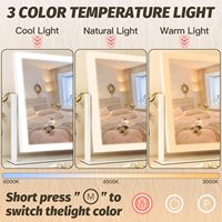 Miroir de Maquillage de Bureau Grossissant avec Écran Tactile et Éclairage LED 3 Couleurs Dimmable, Cadre Métallique – Vente en Gros Usine
