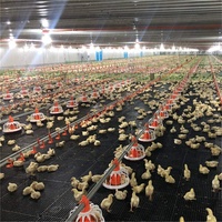 Bâtiment Modulaire Préfabriqué en Acier pour Poulets, Moutons, Porcs, Vaches – Hangar Agricole à Structure Métallique avec Revêtement Métallique