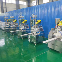 Machine à faire des Baozi polyvalente, machine à faire des pains vapeur fourrés, avec cuiseur vapeur automatique pour Momo et Baozi, machine commerciale à faire des pains vapeur