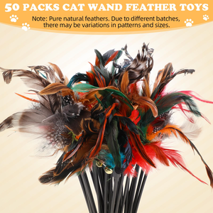 Premium <b>Interactive</b> <b>Cat</b> Teaser <b>Toy</b> Eco-Friendly Feather Spring with Bell and Feather Wand Fashion Style New BOLE PET - Product Image 4